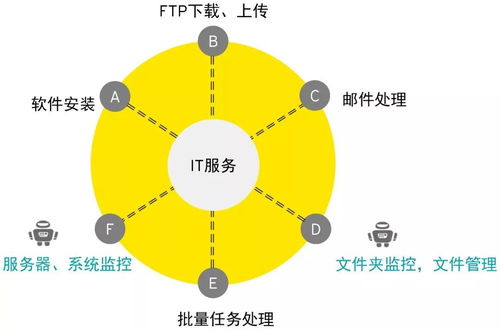 RPA在计算机信息技术领域的应用与实践分享